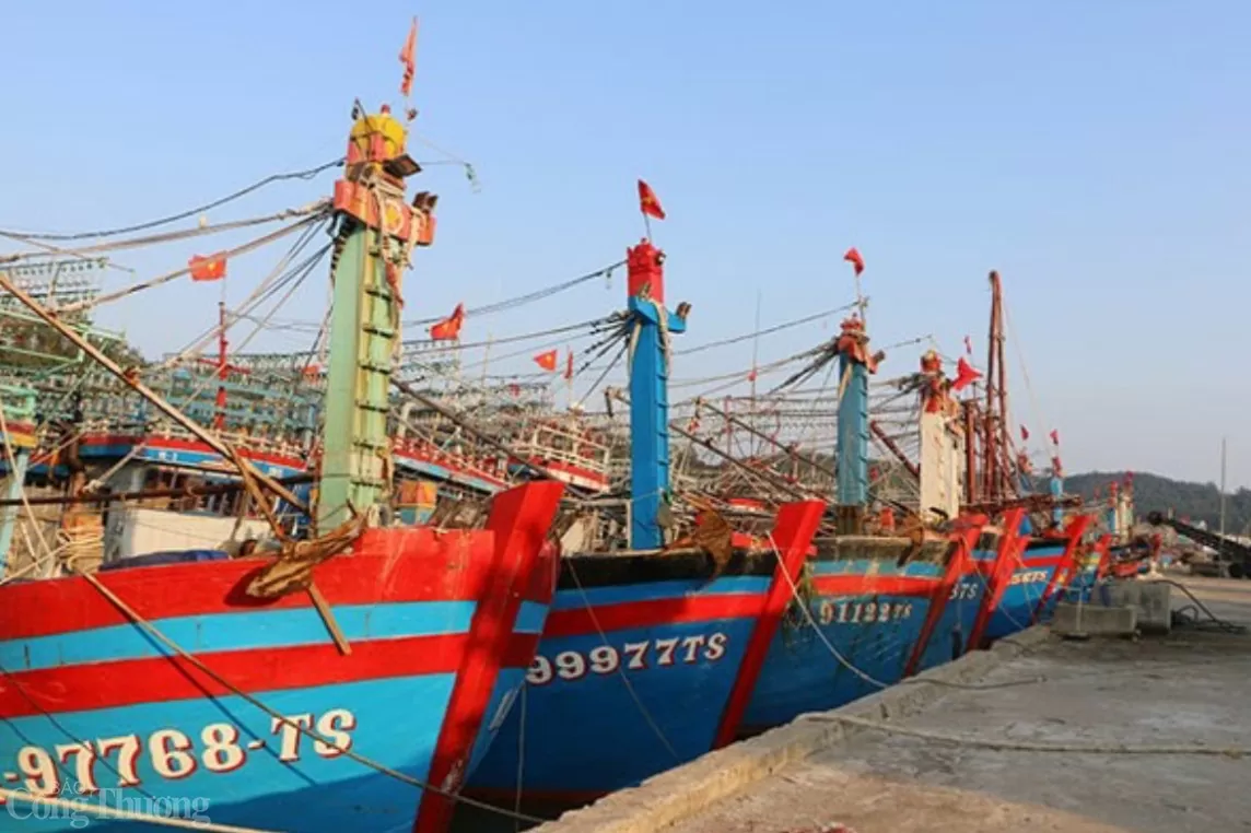 Quảng Bình: Nhiều tàu cá 