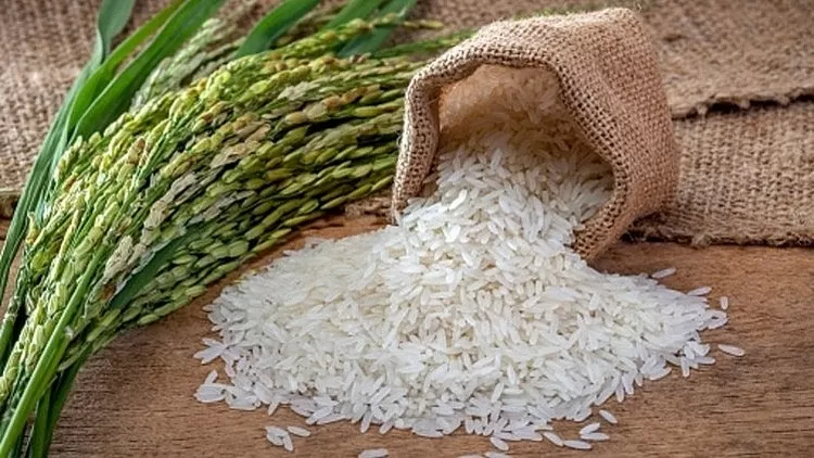 Giá lúa gạo hôm nay ngày 21/7 và tổng kết tuần qua: Giá lúa biến động, giá gạo ổn định