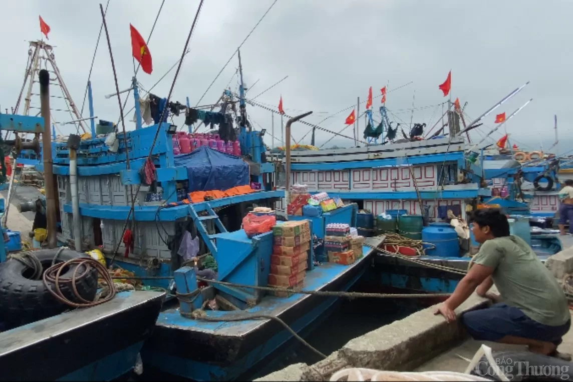 Đà Nẵng kêu gọi tàu thuyền vào bờ tránh bão số 2