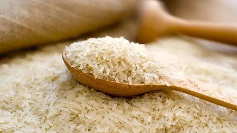 Kinh nghiệm cạnh tranh toàn cầu của các thương hiệu gạo basmati Ấn Độ