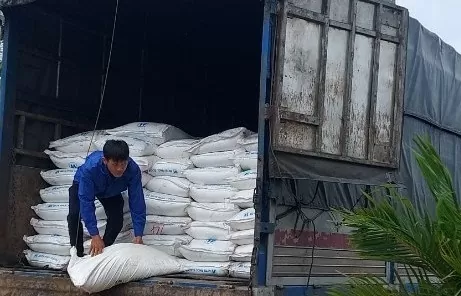 Bình Thuận: Đấu giá gần 33 tấn đường cát, giá khởi điểm hơn 700 triệu đồng