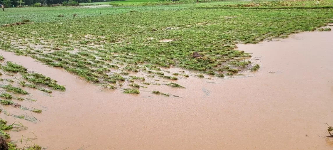 Sơn La: Mưa lớn gây thiệt hại về tài sản, nhiều tuyến đường bị sạt lở