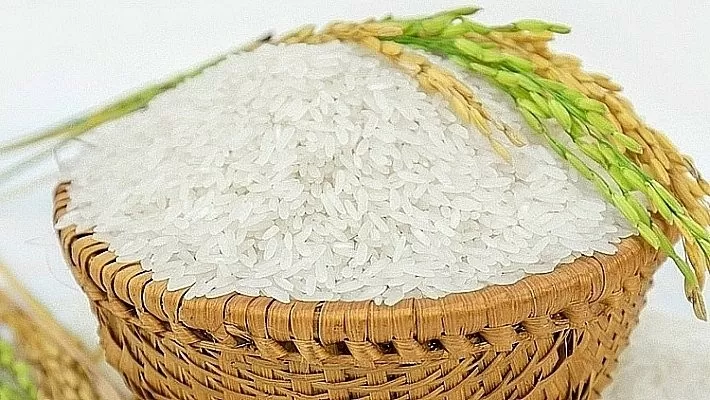 Giá lúa gạo hôm nay ngày 27/7: Giá lúa tăng 100 đồng/kg, thị trường gạo giá tăng nhẹ
