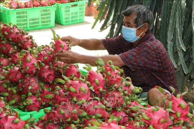 Xuất khẩu tuần từ 20-28/7: 2 nhóm hàng nông nghiệp trong top 10 hàng xuất khẩu lớn nhất