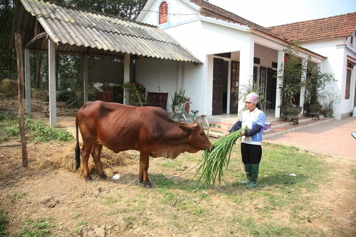 Dành hơn 14.000 tỷ đồng thực hiện trợ cấp xã hội