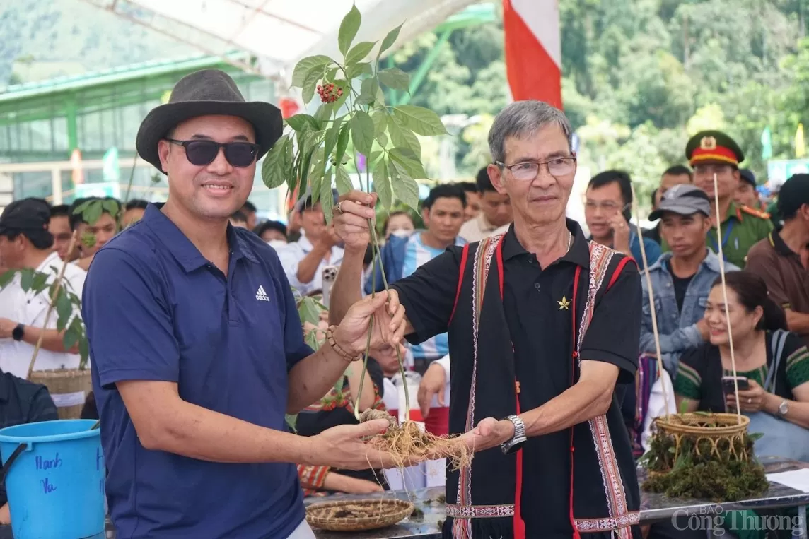 Quảng Nam: Ủng hộ hơn 361 triệu đồng đấu giá sâm Ngọc Linh để xóa nhà tạm