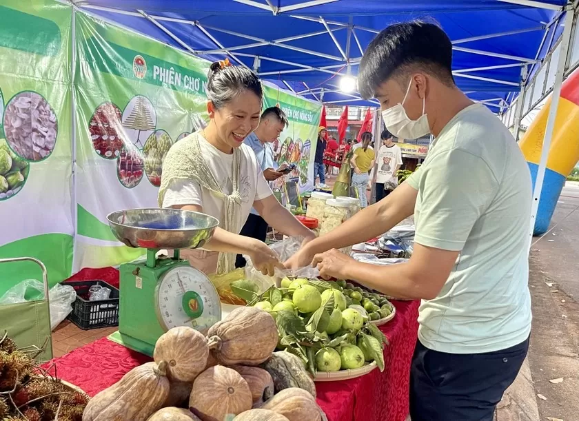 Gia Lai: Hỗ trợ bà con miền núi kết nối cung - cầu nông sản