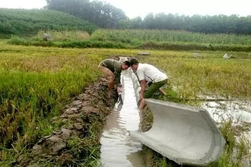 Lộ diện công ty trúng loạt gói thầu với tổng giá trị hàng nghìn tỷ đồng tại Tuyên Quang