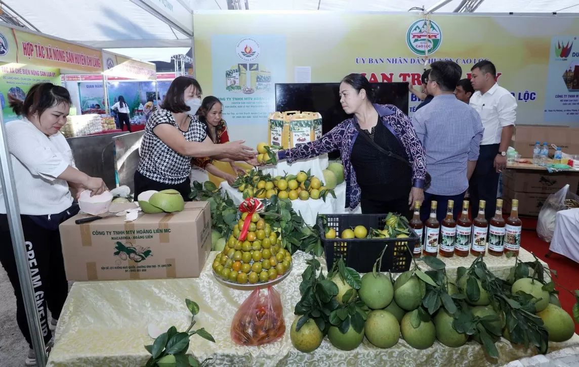 Lạng Sơn đẩy mạnh hoạt động hội chợ triển lãm, tạo cầu nối mở rộng thị trường nông sản