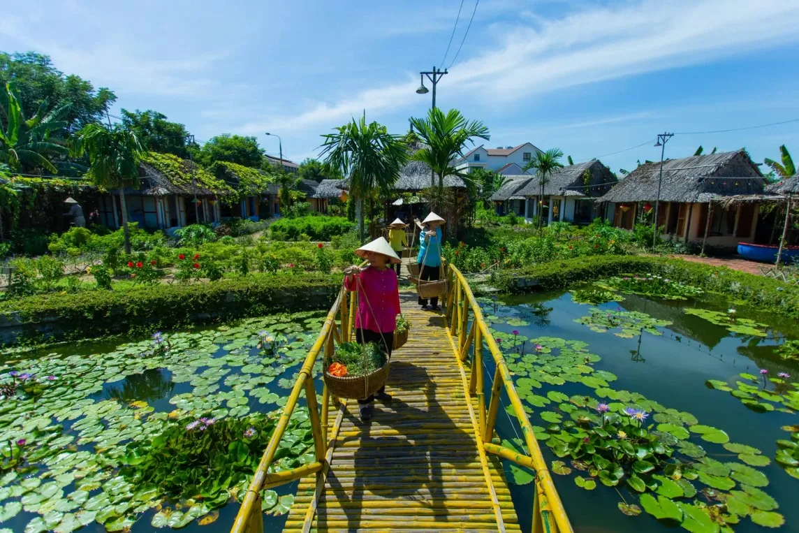 Quảng Nam công nhận 25 doanh nghiệp đạt tiêu chí du lịch xanh