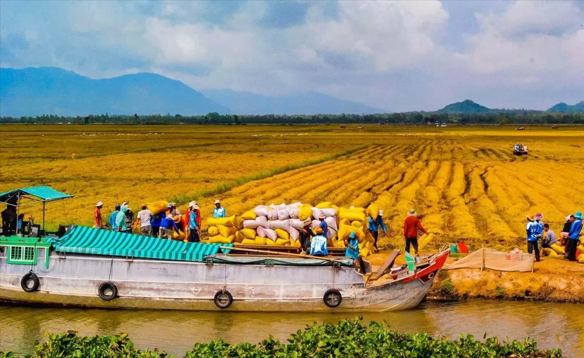 Hội nghị xúc tiến thương mại mở ra cơ hội cho doanh nghiệp Đồng bằng sông Cửu Long