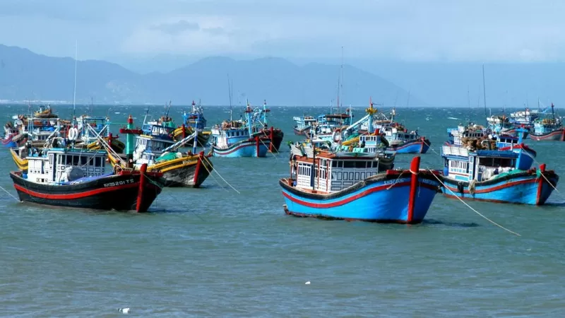 Trà Vinh: Quyết tâm chống khai thác IUU và nỗ lực gỡ cảnh báo “Thẻ vàng”