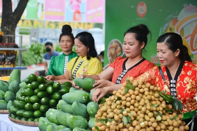 Kết nối, tiêu thụ sản phẩm nông sản an toàn huyện Mộc Châu