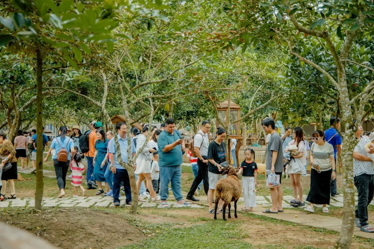 Cần Thơ và Bạc Liêu: Thu hút 260.000 lượt khách trong dịp lễ Quốc khánh