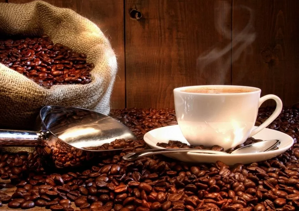 Dự báo giá cà phê 5/9/2024: Robusta hồi phục, cà phê trong nước có tăng trở lại?