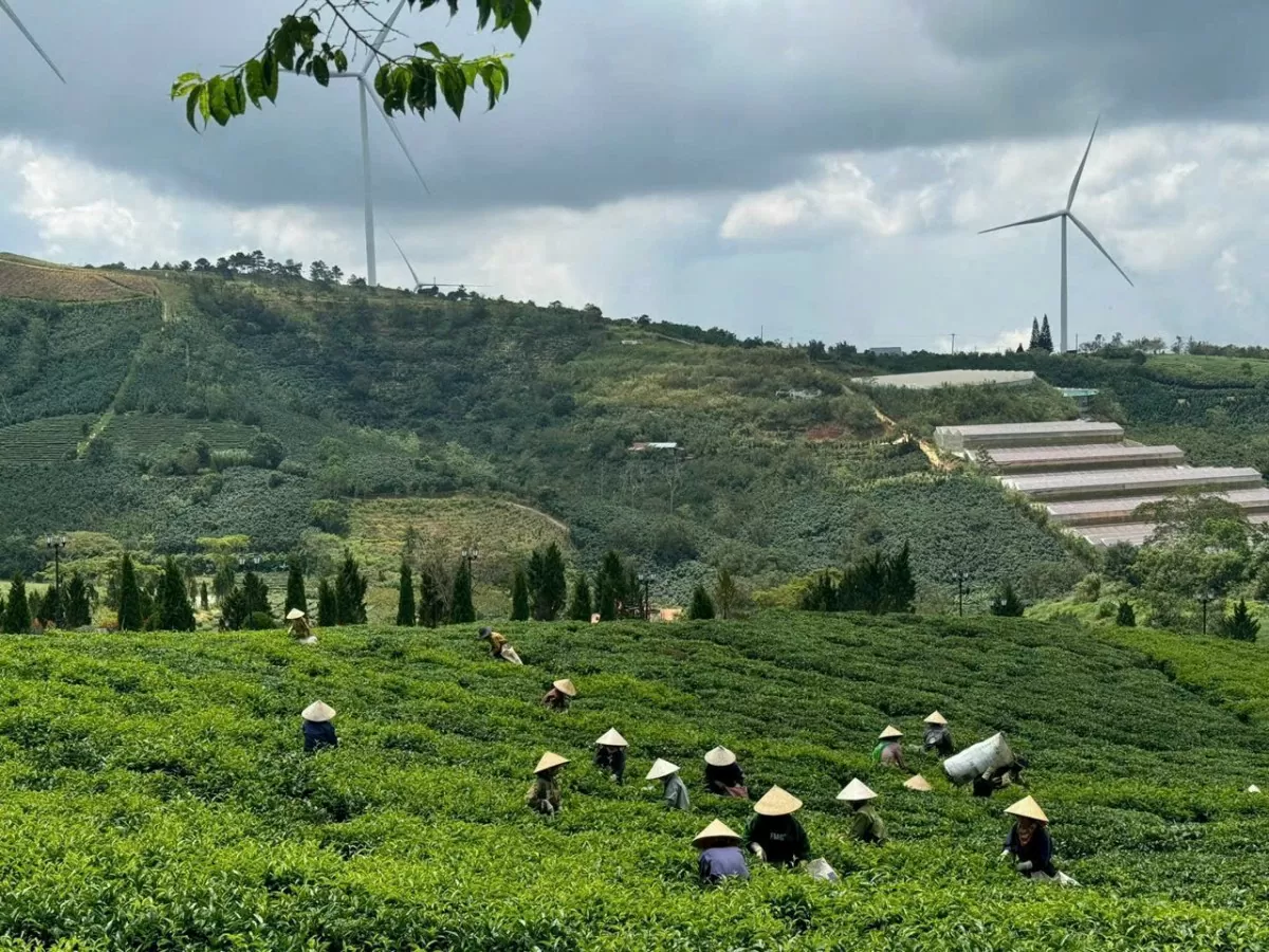 Lâm Đồng: Nhiều chỉ tiêu ngành Công Thương dự ước đều đạt theo kế hoạch được giao