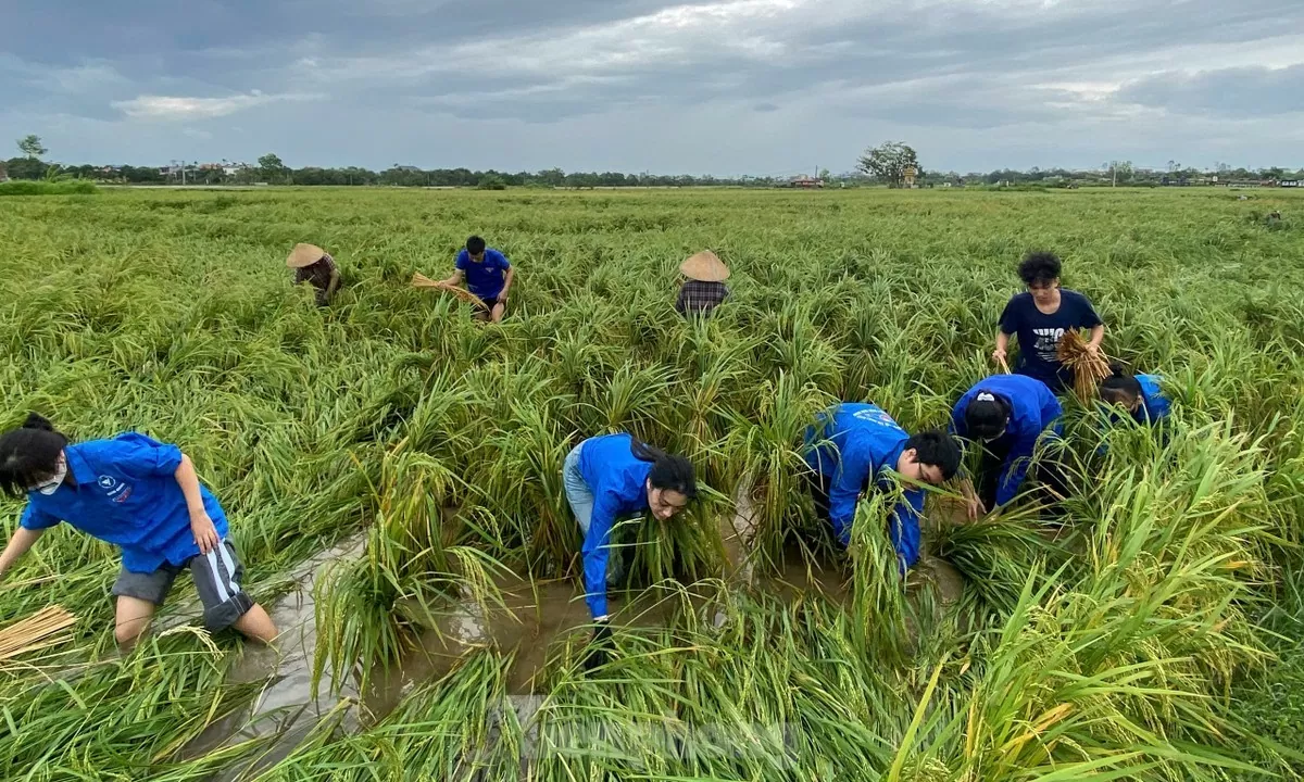 Hậu cơn bão Yagi: Ấm lòng tinh thần tương thân tương ái