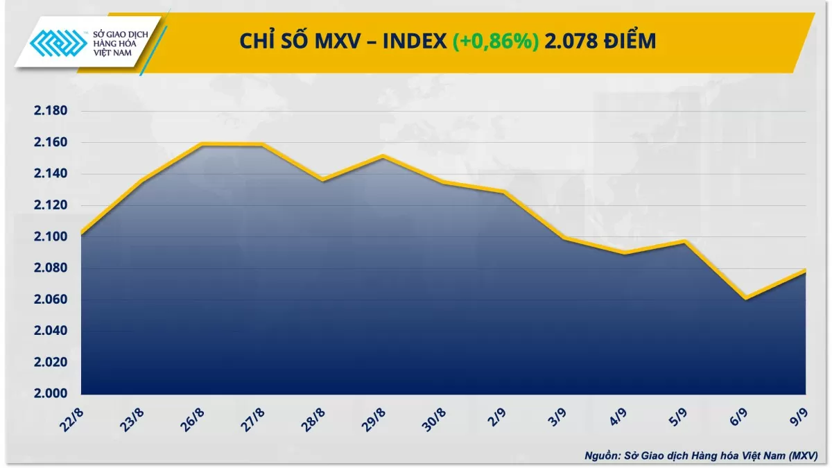 Thị trường hàng hóa hôm nay 10/9: Lực mua mạnh kéo chỉ số MXV-Index bật tăng