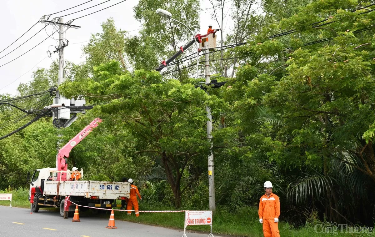 Ngành điện TP. Hồ Chí Minh: Hạn chế thấp nhất các sự cố mùa mưa bão