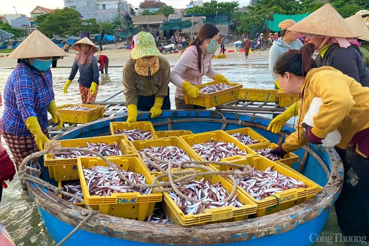 Chợ làng biển 