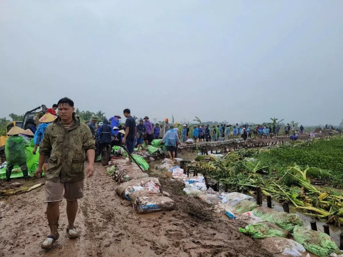 Hải Dương: Tiếp tục triển khai lực lượng, thực hiện nghiêm công tác tuần tra canh gác đê