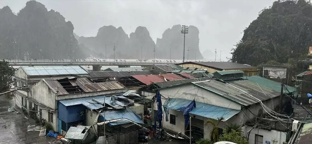 Bộ Nông nghiệp và Phát triển nông thôn nhận định: Thiệt hại do bão, lũ gây ra vẫn còn rất lớn