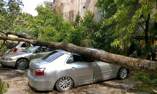 Quy hoạch không gian ngầm trước bối cảnh Hà Nội thiếu bãi đỗ xe và ùn tắc giao thông nghiêm trọng