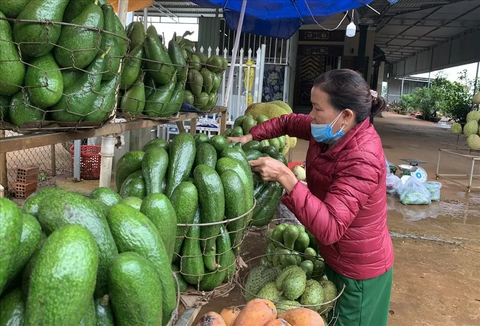 Tăng cường tiêu thụ nông sản Đắk Nông trên nền tảng thương mại điện tử