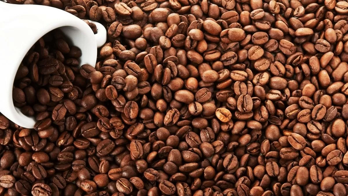 Dự báo giá cà phê 24/9: Sản lượng cà phê Robusta Việt Nam sẽ giảm 1% trong mùa vụ 2024/25