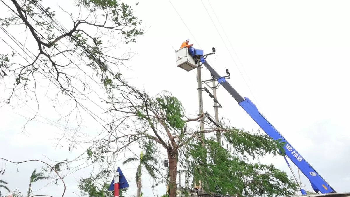 Hải Phòng nhanh chóng nối lại “huyết mạch” năng lượng: Sức mạnh tinh thần thần Việt