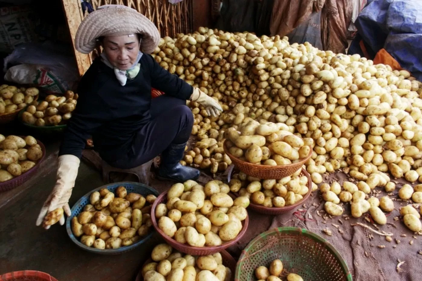 ‘Thay màu’ nông sản: Đừng để nông dân phải loay hoay tự bảo vệ mình