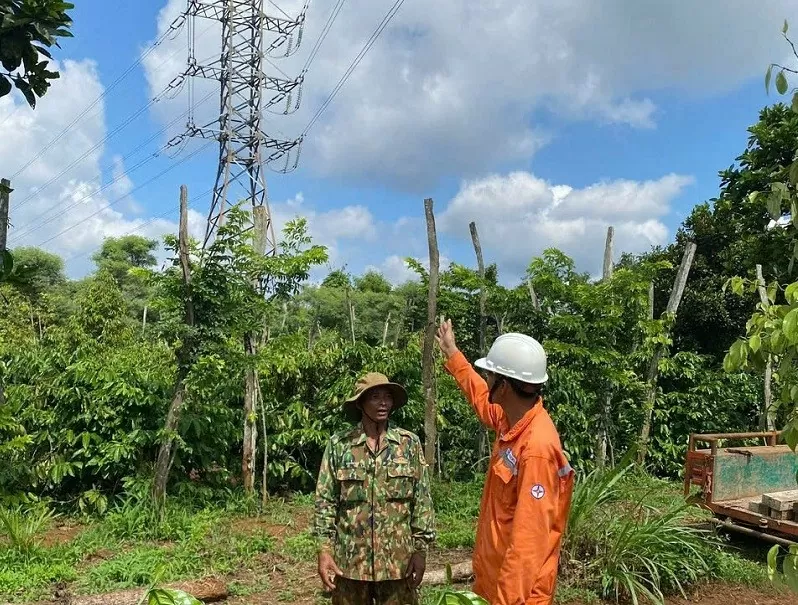 PC Đắk Lắk: Vận hành ổn định lưới điện 110kV trong mùa mưa bão