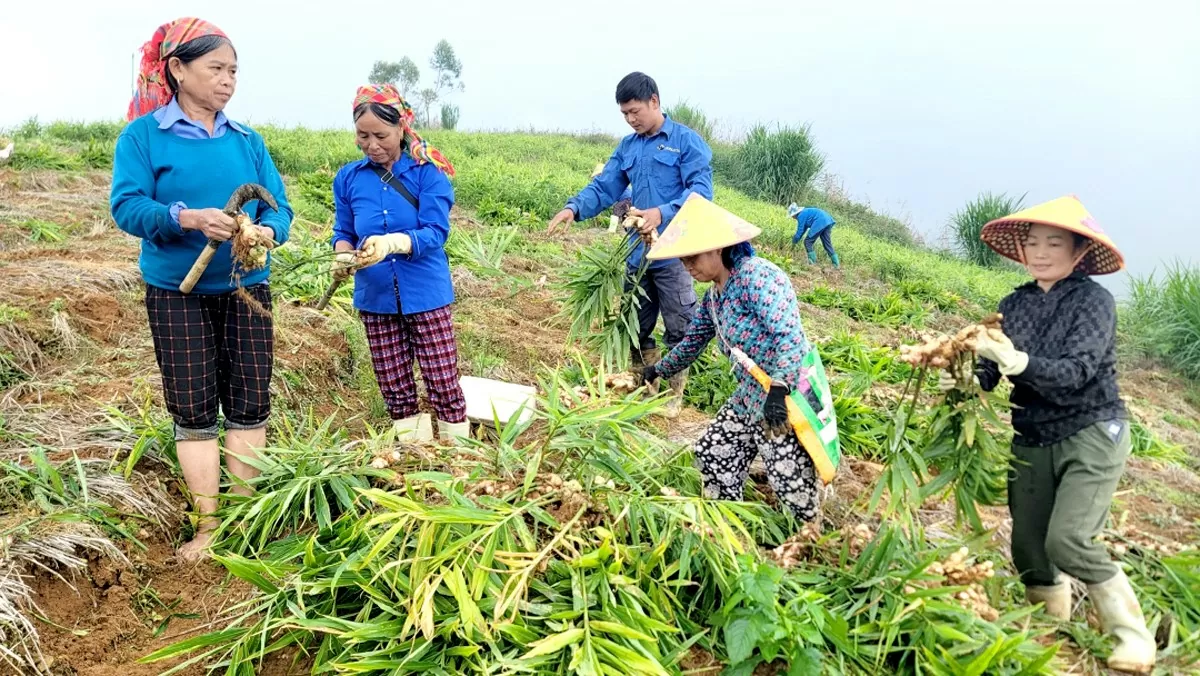 Xuất khẩu nông sản: Những tín hiệu tích cực