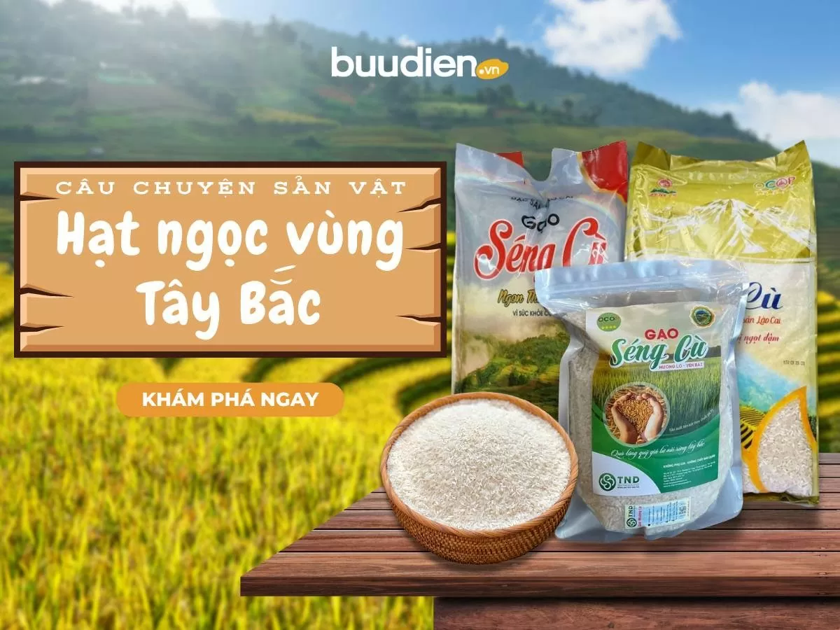 Quý IV, sẽ có khoảng 400 tấn nông sản được tiêu thụ trên sàn thương mại điện tử buudien.vn