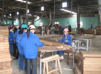 Đẩy mạnh xúc tiến thương mại và tập trung phân phối tốt thị trường nội địa là việc cần làm ngay với các DN xuất khẩu gỗ trong năm 2012. (Ảnh: Minh Hà)