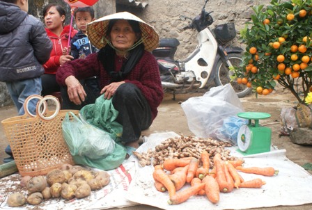 Các sản phẩm bày bán tại chợ chủ yếu là cây nhà lá vườn