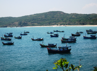 Biển Quy Nhơn danh thắng nổi bật của Bình Định.