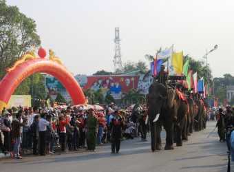 Đàn voi rừng xuống phố diễu hành