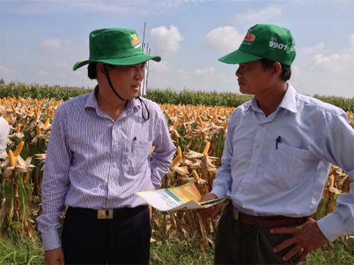 Monsanto đang nỗ lực giúp người nông dân chủ động ứng phó với vấn nạn thiếu lương thực