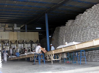 Kho chứa đóng bao gạo của một doanh nghiệp ở ĐBSCL hiện nay