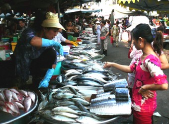 Giá nhiều loại thực phẩm được điều chỉnh tăng vùn vụt tại Hà Nội và một số tỉnh lân cận mấy ngày gần đây.