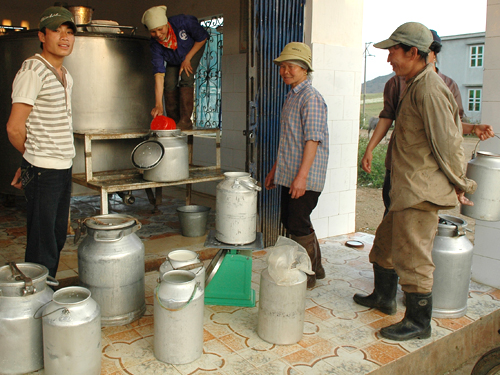 Hiện nay, sản xuất sữa trong nước mới chiếm 28% tổng lượng sữa ở Việt Nam