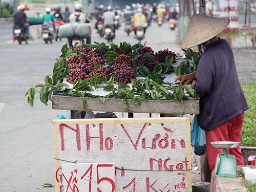 Nho Trung Quốc được người bán rong gắn mác nho vườn ở Ninh Thuận bán với giá 20.000-30.000 đồng/kg