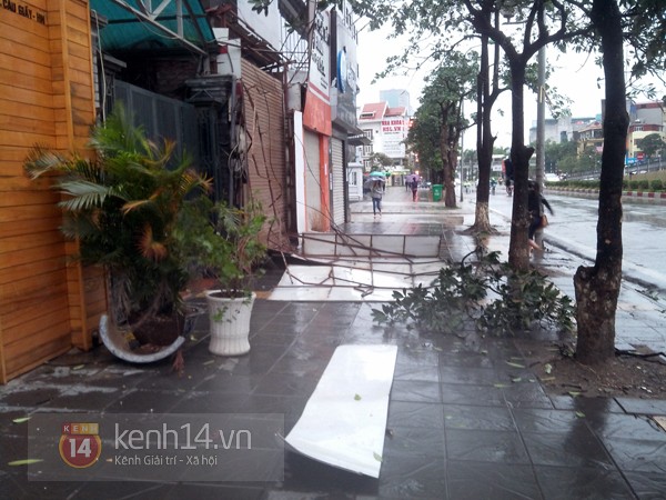 Hà Nội mưa to suốt đêm, nhiều cây đổ do ảnh hưởng của bão Haiyan 6