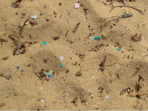 Các chất thải nhựa thải ra môi trường biển sẽ gây nguy hại đến sự hệ sinh thái biển. Ảnh minh họa