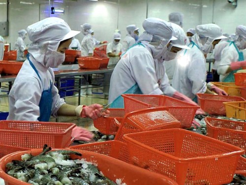 Thời điểm này có thể khẳng định xuất khẩu thủy sản Việt Nam năm 2013 chắc chắn vượt mốc 6,5 tỷ USD.  