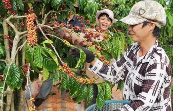 Mở đường cho nông sản Việt vào thị trường Ấn Độ