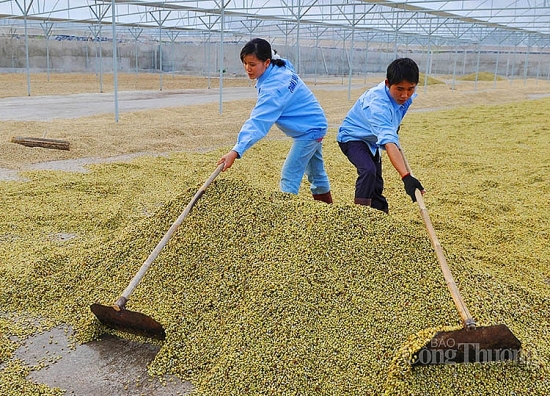Bộ Công Thương mở rộng thị trường Nhật Bản cho nông sản Việt