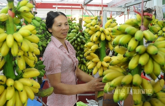 Bộ Công Thương: "Bắc cầu" đưa nông sản Việt sang Nhật Bản