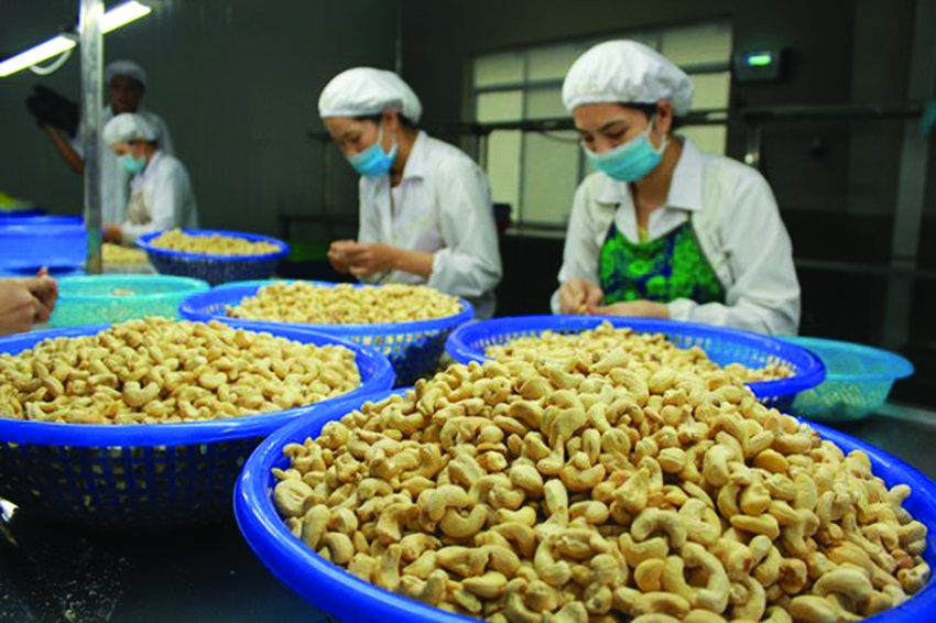 Tránh giảm thị phần nông sản Việt Nam tại Hàn Quốc